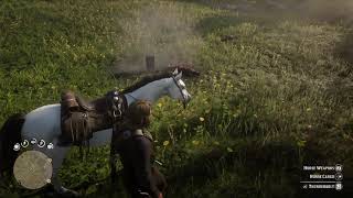 Red Dead Redemption 2 Distraction