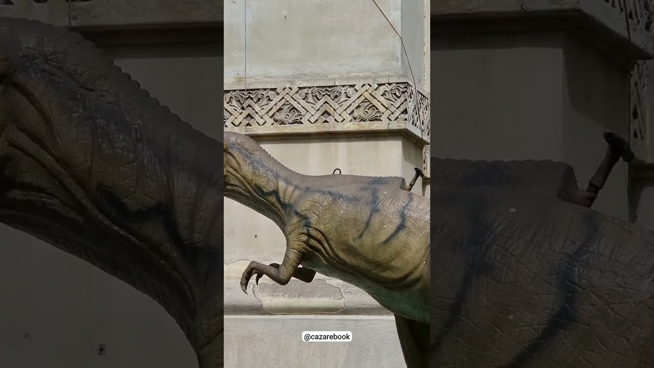 Descoperă Romania Copleșitoare 