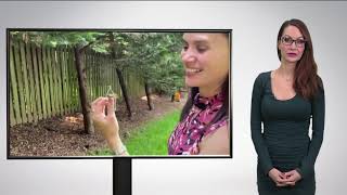 Watch This Cicada Creep Out A Reporter! | Jenny Milkowski 5-28-21