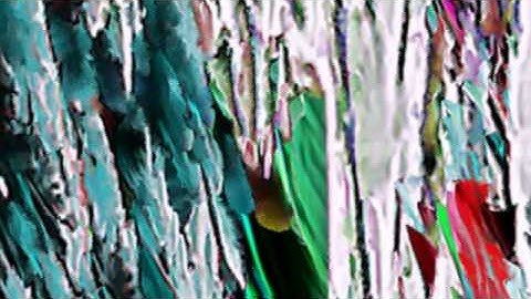 Video Feedback Simulation