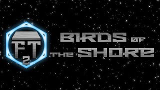 Birds of The Shore E4.5: Migration (Stars Without Number)