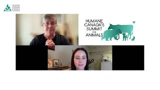 What Does the Future of Animal Sheltering Look Like?