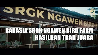 RAHASIA SRGK NGAWEN BIRD FARM HASILKAN TRAH HEBAT!