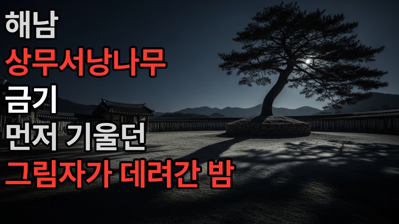 《밤의 서사 기록35 – 해남 상무서낭나무 금기: 먼저 기울던 그림자가 데려간 밤 | 실화처럼 기록된 가족 괴이 다큐》