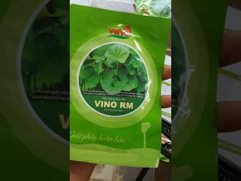 Hạt giống rau