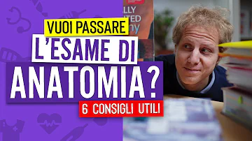 Come si prepara l'esame di anatomia?