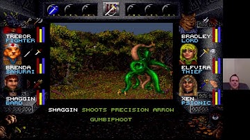 Previous Live Stream of Wizardry 7 - DFortae