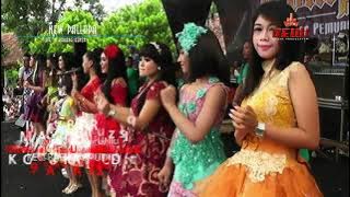 NEW PALLAPA FULL 2017 - Live Show Karang Bener Kudus 2017 ( SNP INDONESIA ) Saudara New Pallapa