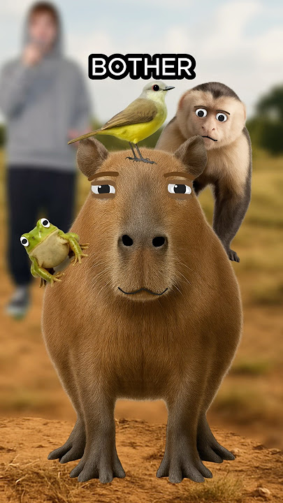 The Truth About Capybara