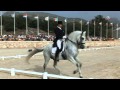 FUEGO DE CARDENAS Campeonato España Doma Clásica 2008 Gran Premio Especial