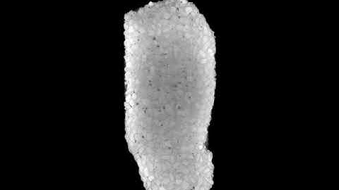 CT Scan of Concrete w/Aggregate