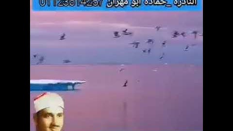 الشيخ محمد صديق المنشاوي وماتيسر من سورة الدخان