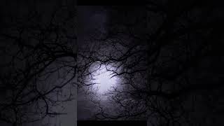 Вампир Дюссельдорфа... #horror #чудовище #страшныеистории