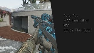 OH MY GOD! [RAID SUI] (HM then Shot next try)