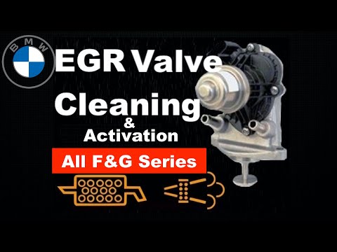 BMW 320d EGR Valve Cleaning - YouTube