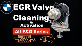BMW 320d EGR Valve Cleaning & Activation