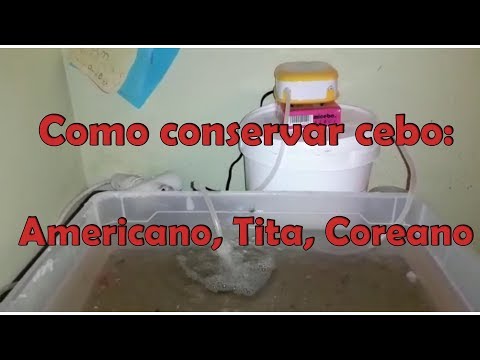 Video: Cómo Almacenar Gusanos De Sangre En Casa