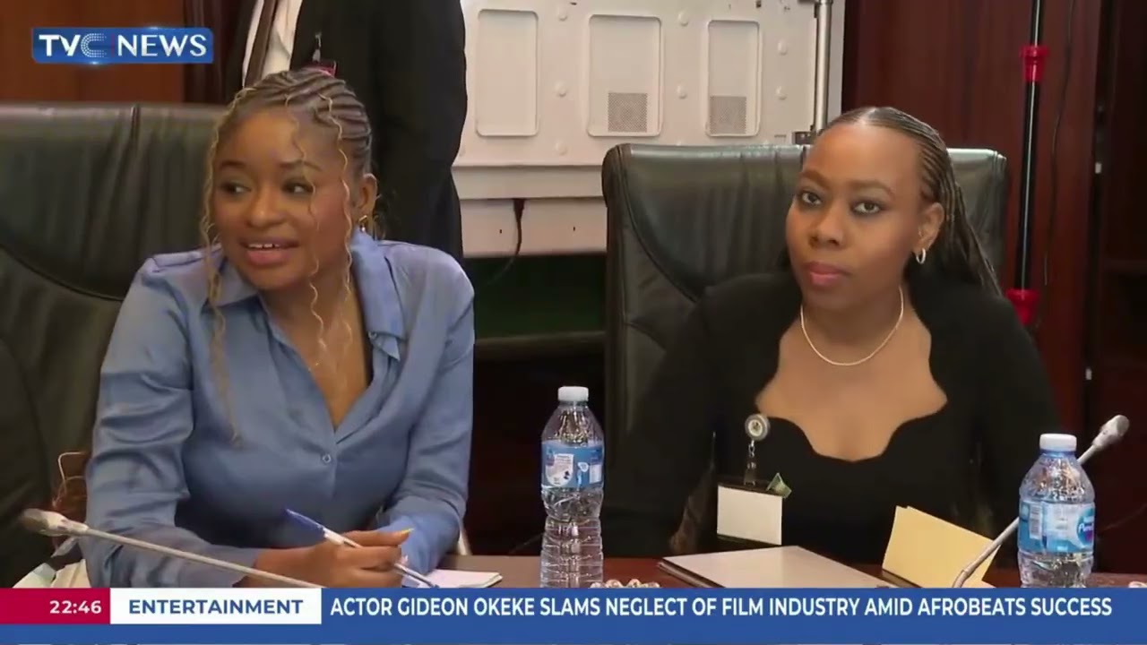 Pres Tinubu's Bold Reforms Attracting More Investor To Nigeria - Arowolo-Verheijen