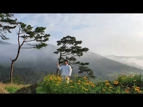 정의송 TV 정의송 소쩍새 우는 사연 김용택 시 정의송 작곡 원곡가수 정성실 한국인이사랑하는명시 정성실 정의송 윤태화 김시원