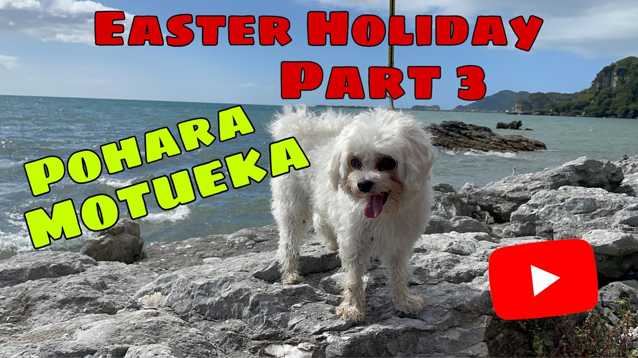 My Dog Easter Holiday Part 3 Pohara Motueka YouTube