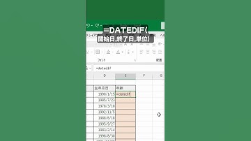 【年齢の計算DATEDIF関数で秒速計算】 #エクセル初心者 #エクセル関数 #エクセル便利技 #エクセル #excel #excel時短術 VOICEVOX:猫使ビィ