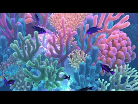 🐠 Coral Reef