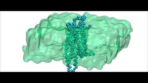 CG protein/ligand binding simulation of GPCR Adenosine A2A Receptor
