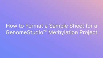 How to Format a Sample Sheet for a GenomeStudio Methylation Project