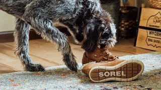 Sorel Fall Collection Styles at Buckle | 30