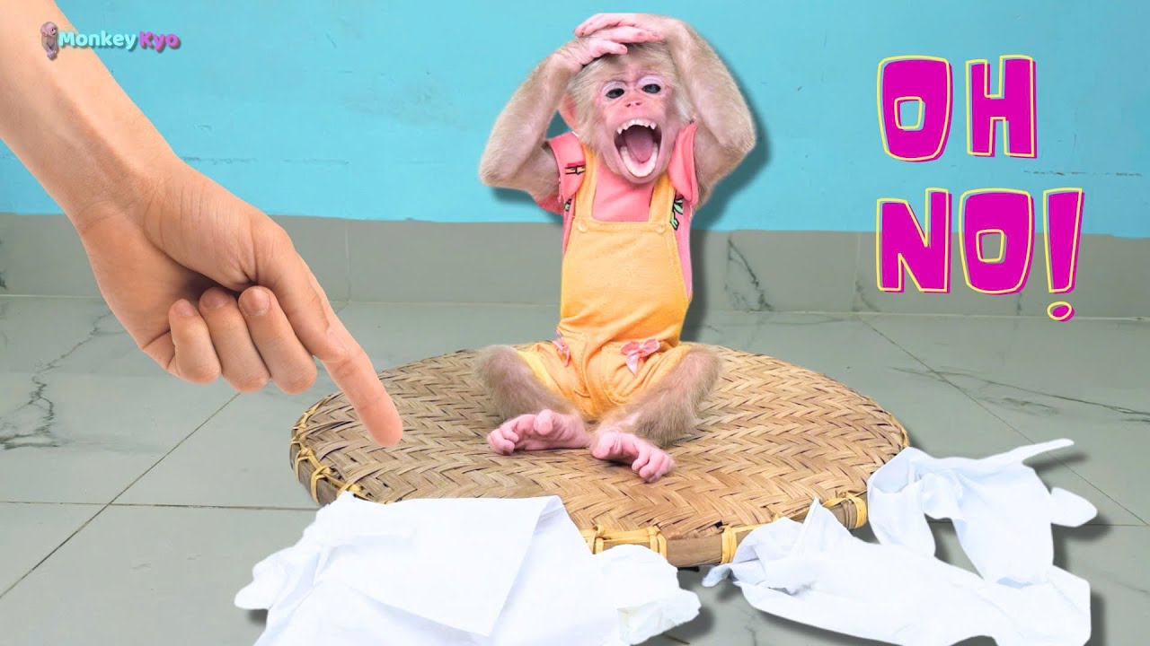 Kyo tries to hide the trouble, but Dad can't stop laughing!