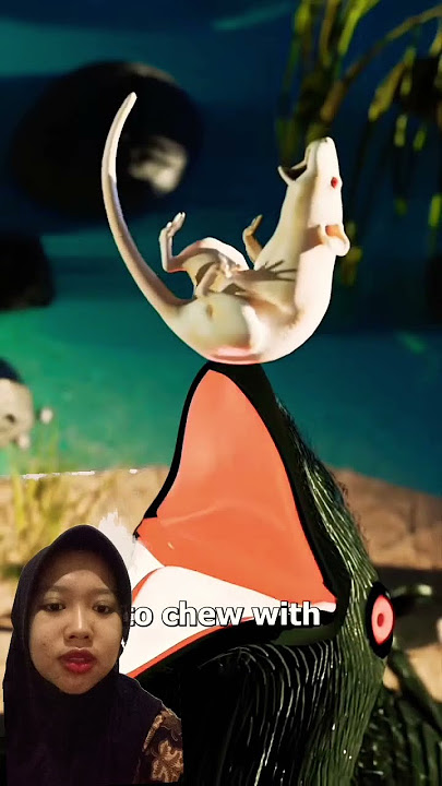 Makan Batu, ⁉️ #reaction #alurcerita #alurceritafilm #trending