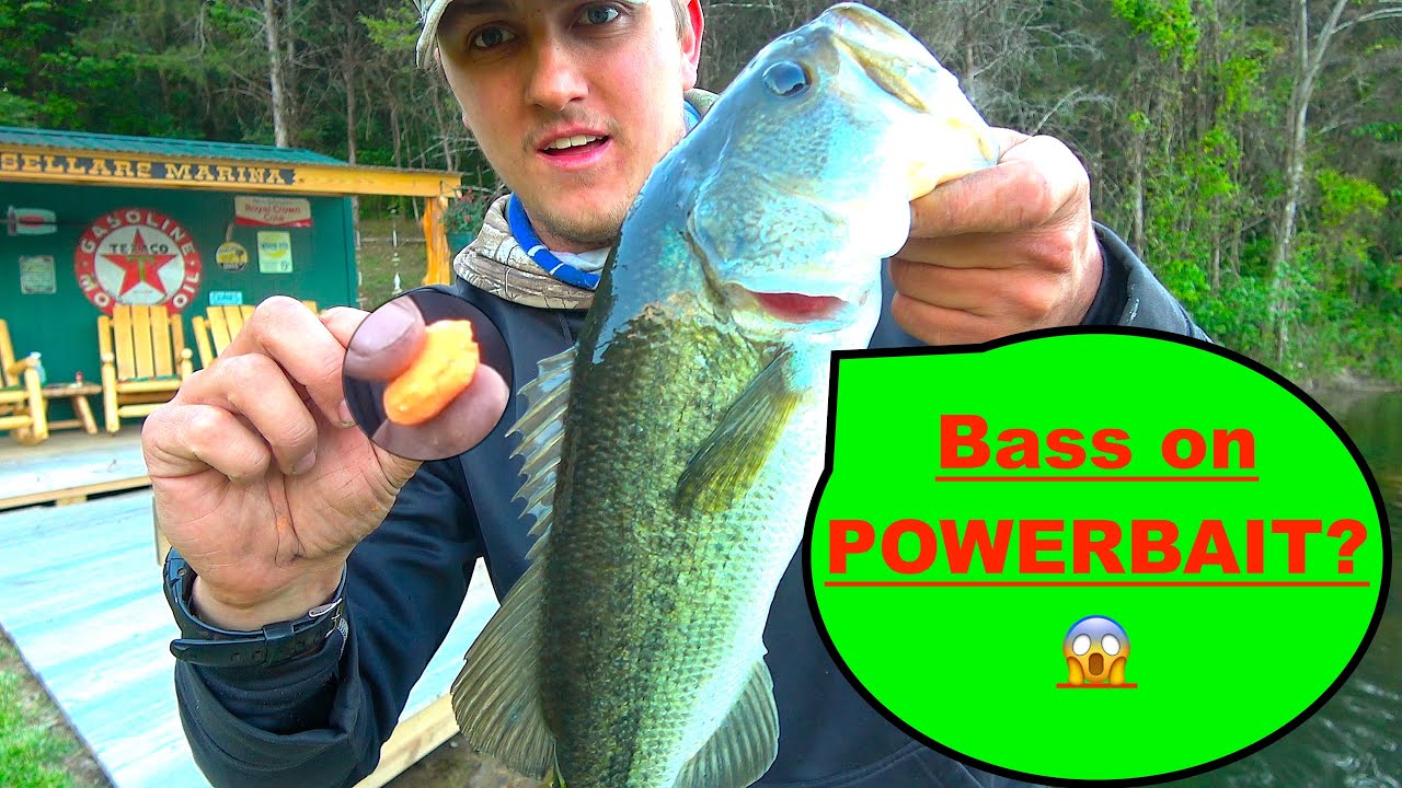 Bass on POWERBAIT? YouTube