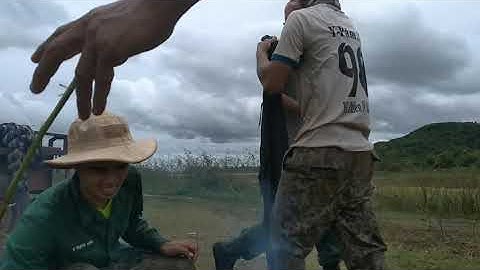 Cá rô nướng giòn chấm muối ớt SIÊU CAY