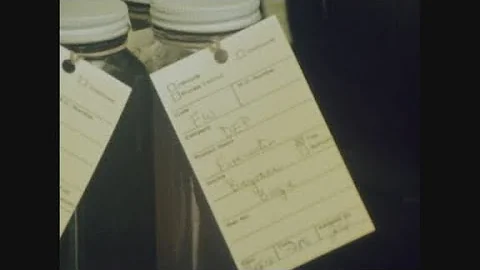 News Item (ddfc6514-c855-3675-12aa-514739f2f076)