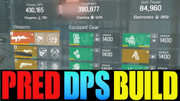 THE DIVISION - MY 430K DPS & 381K TOUGHNESS PREDATORS MARK BUILD! BEST DAMAGE BUILD IN PATCH 1.6