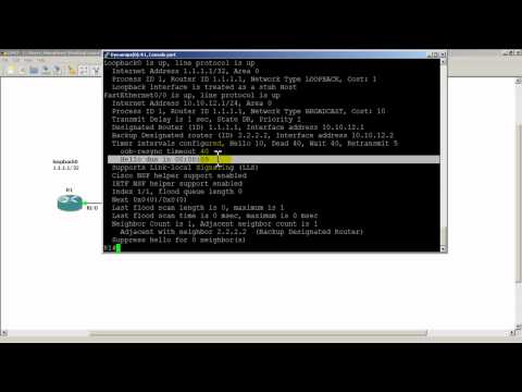 RouterGods - OSPF