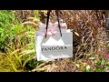 Do an escape with pandora  bts