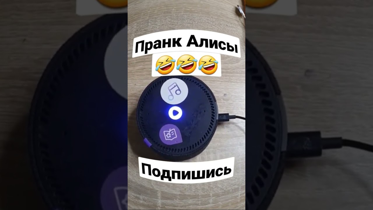 ⁣пранк Алисы 😱 лучшие приколы 2022 / яндекс Алиса жгёт | #shorts