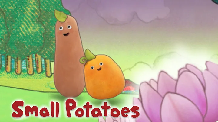 Small Potatoes - Love is in the Air | Songs for Kids - DayDayNews