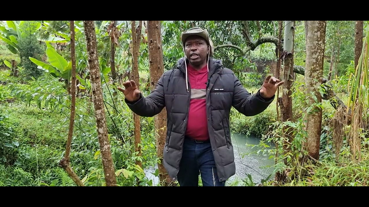 mweri wa mùgwanja na magongona (the month of July and sacrifices)