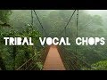 Lofi ambient tribal beat output exhale vocal chops human jungle  tyler august