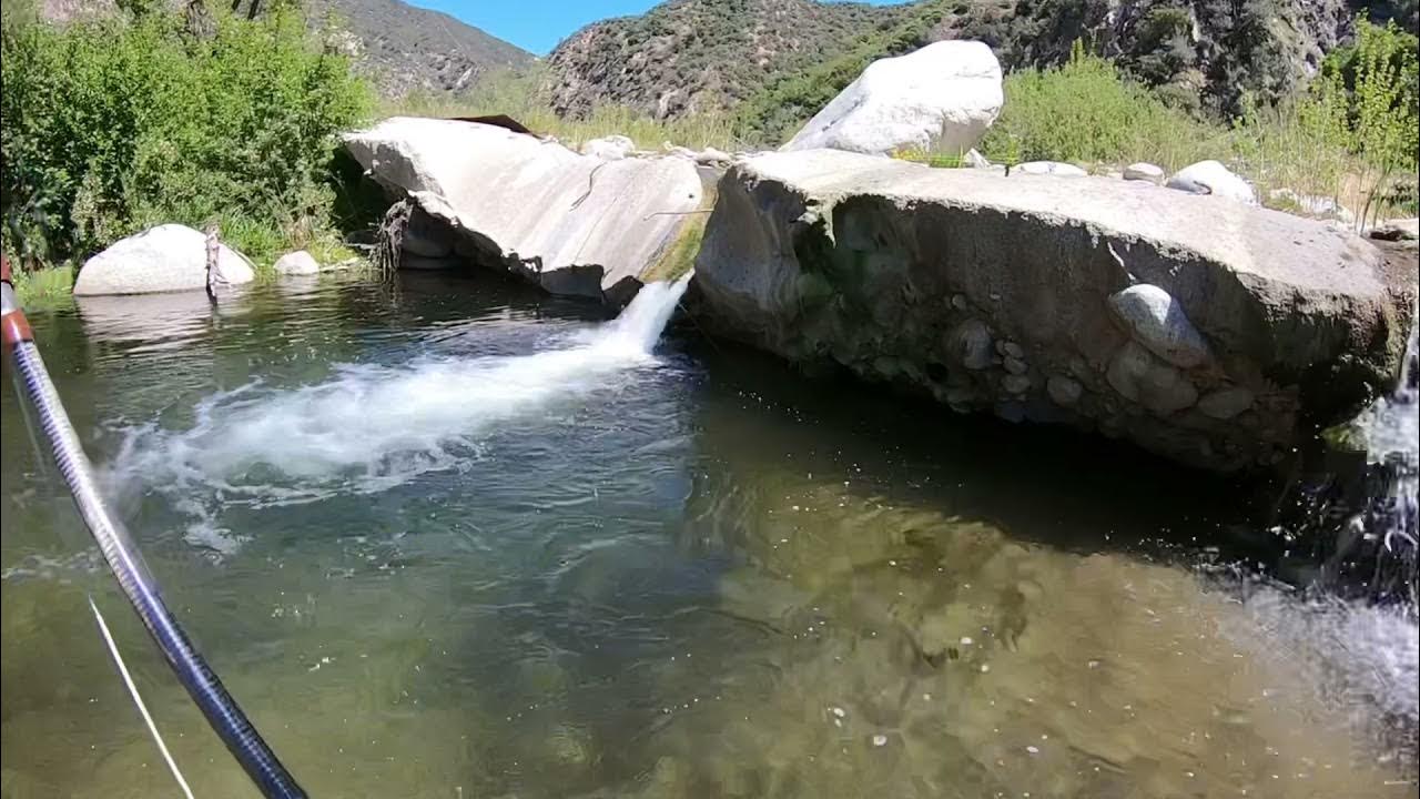 Southern California Fly Fishing - Rainbow Trout - YouTube