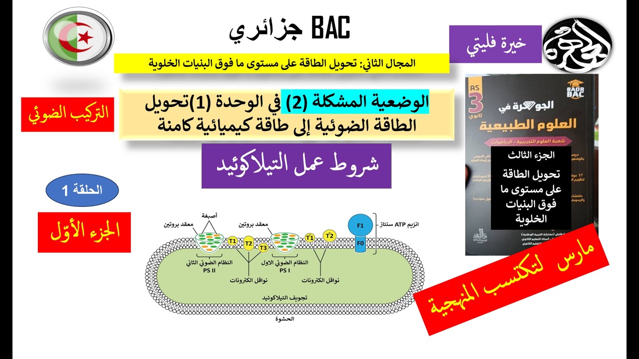 الحلقة 1 من حل وضعية الية حدوث المرحلة الكيموضوئية