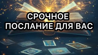 видео: Срочное послание для вас!Это видео вас найдет само!#таро#путьдуши#посланиедуховрода #событиянапороге картинка: Срочное послание для вас!Это видео вас найдет само!#таро#путьдуши#посланиедуховрода #событиянапороге