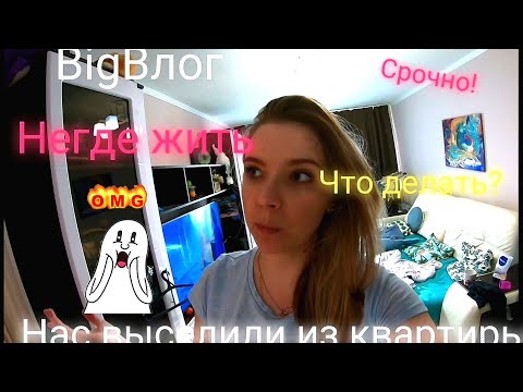 Большой влог🔔Выселили из квартиры❌Негде жить❌Что делать? 😱
