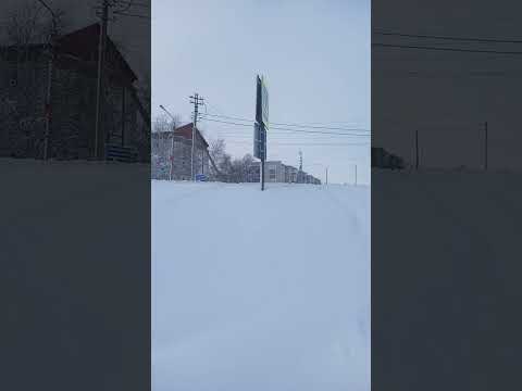 Video: Ulyanovsk vilayəti: qoruqlar, xüsusi mühafizə olunan təbiət əraziləri