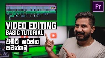 Video Editing Tutorial Basics | Premiere Pro