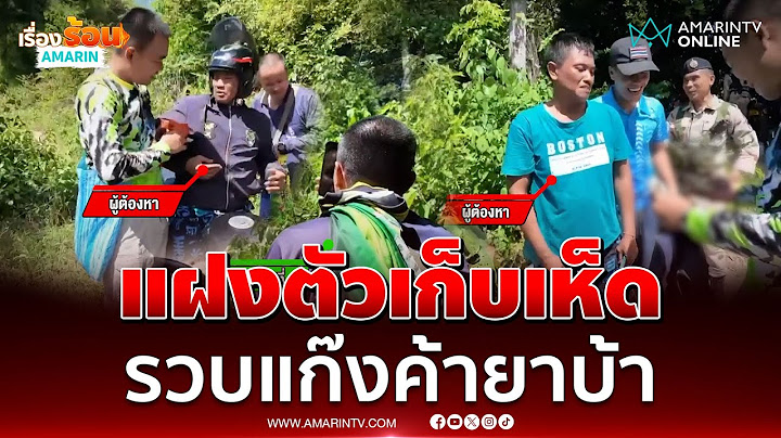 แฝงตัวเป็นชาวบ้านเก็บเห็ด รวบแก๊งค้ายาบ้าได้อยู่หมัด | เรื่องร้อนอมรินทร์