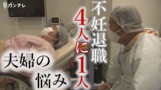 “不妊退職”が『働く女性の4人に1人』　不妊治療の『保険適用』を前に課題は