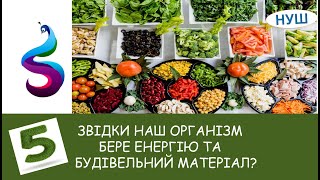 ЗВІДКИ НАШ ОРГАНІЗМ БЕРЕ ЕНЕРГІЮ ТА БУДІВЕЛЬНИЙ МАТЕРІАЛ?